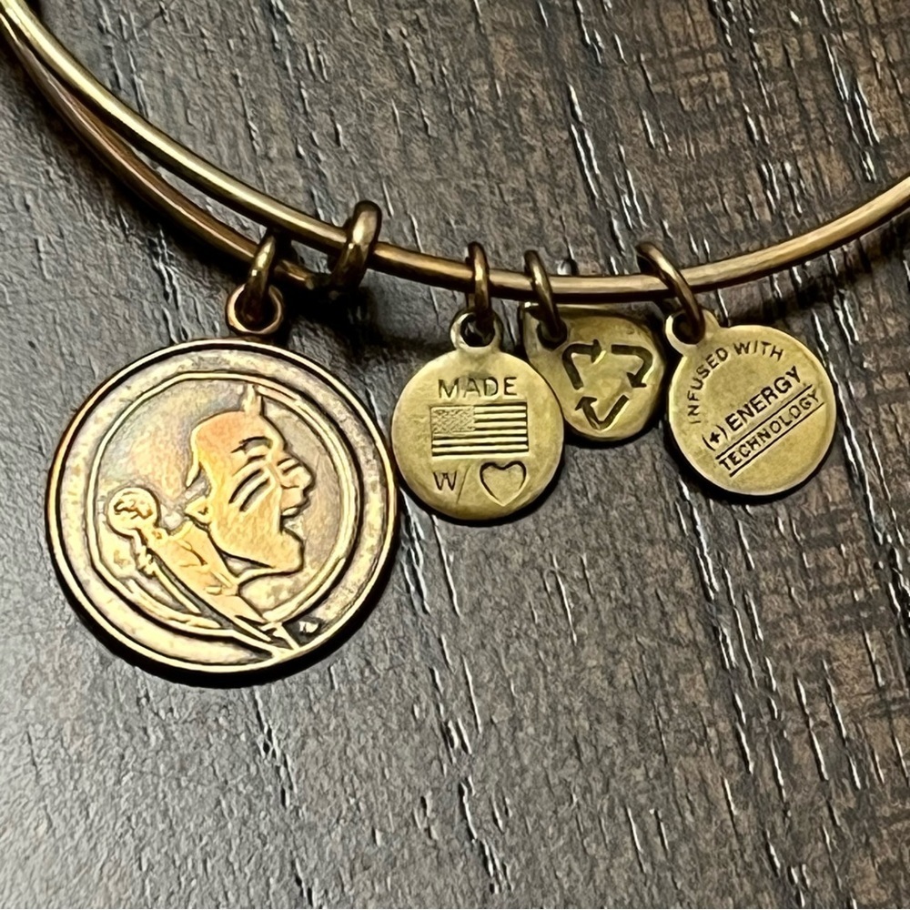 Alex and Ani FSU Charm Bracelet - Picture 6 of 6